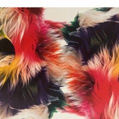 A Kaleidoscope of Sound w/ Gallery Curator - Feb 22, 2023