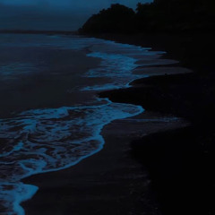 Wave