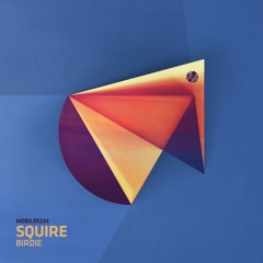 Squire - Birdie - mobilee234