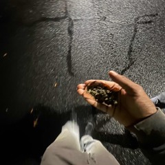my pain