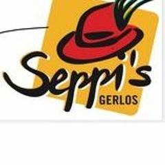 Seppis Live Mix