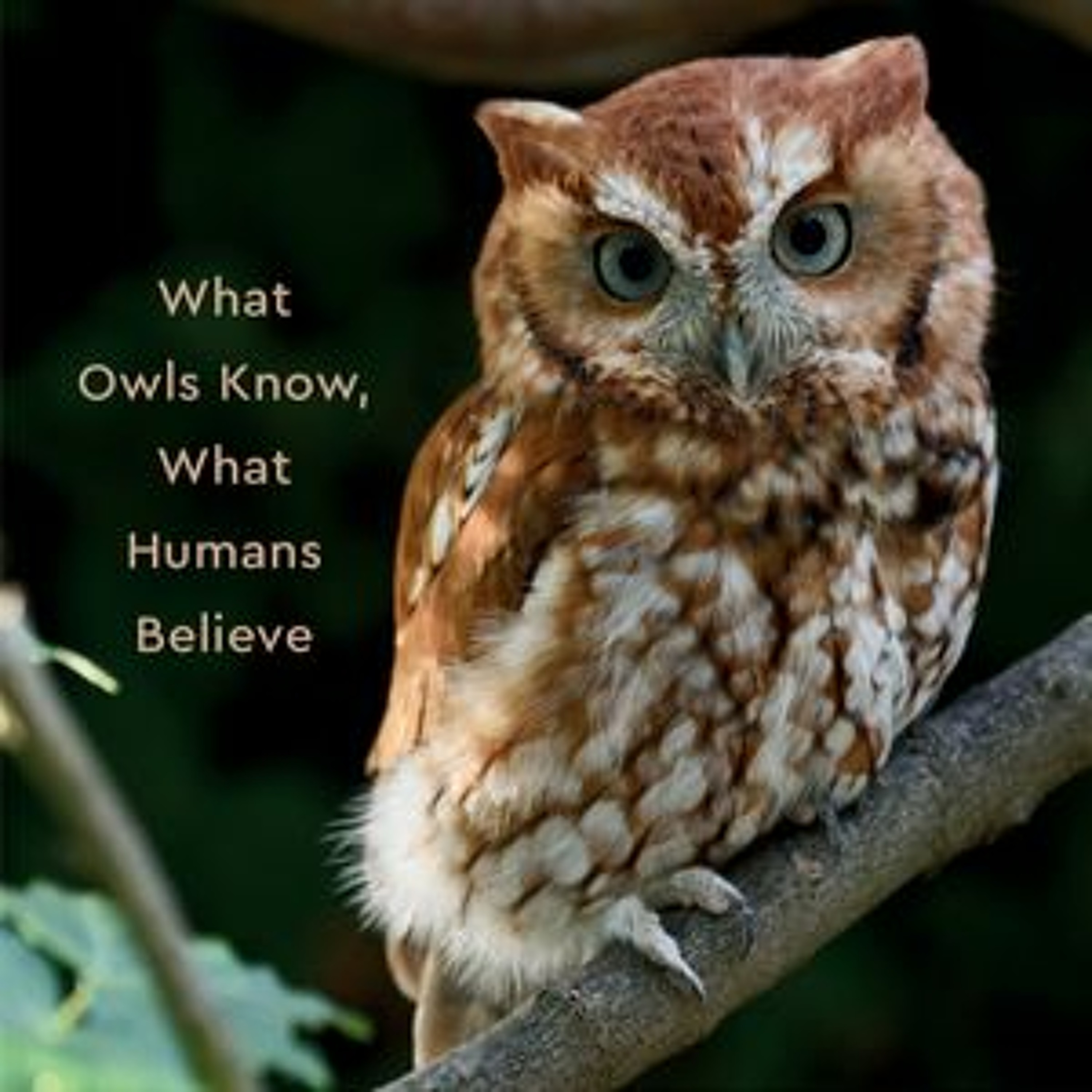 Carl Safina  Author - Alfie & Me:  What owls know, What humans believe. episode artwork