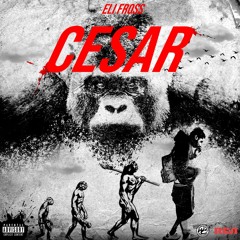 herbo