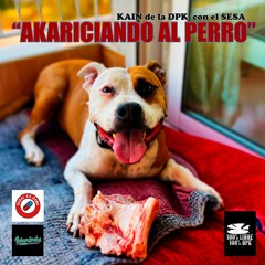 Akariciando al perro