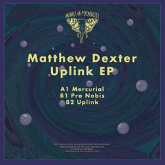 B2. Matthew Dexter - Uplink (SNIPPET)