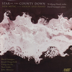 Star of the County Down (feat. David Gompper & Wolfgang David)