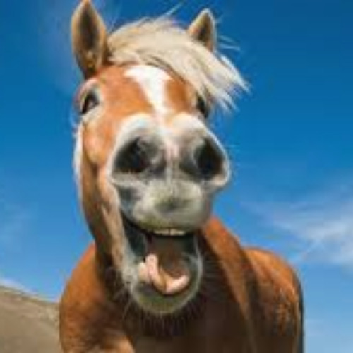 Back From This (Demo)