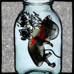 трубка (feat. Письма Батюшкова)