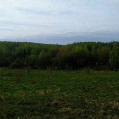 Прощай лес и привет новый я (шоссе и автобусная остановка)