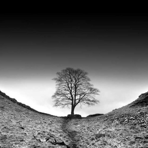 KY - Nowhere Near - Played By Hazard