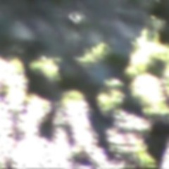 Get To See (prod. tgwog)