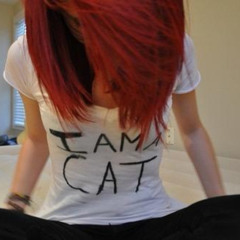 sped cat.wav (prod. rl)