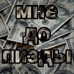 мне до пизды