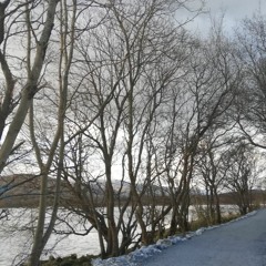 Raffa FL - Bust A Move (Sven Tasnadi Remix)