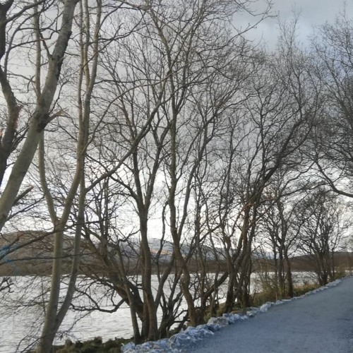 Raffa FL - Bust A Move (Sven Tasnadi Remix)