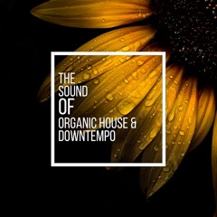 The Sound Of Organic House & Downtempo Vol.10