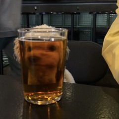 SeeDee Mini guest mix (100% wax first half)