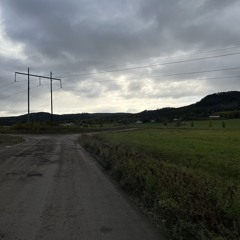 Skogen 🌲🫎