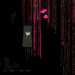 The Way I Love You (Micheál Dear. Remix)