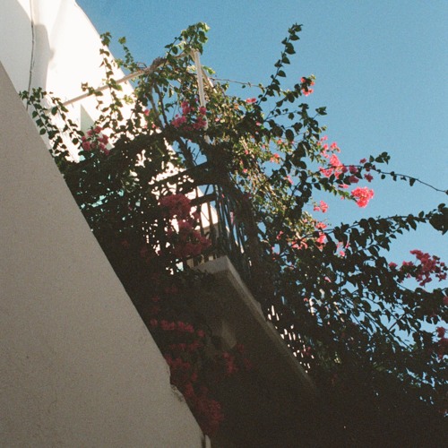 new love (rough demo)