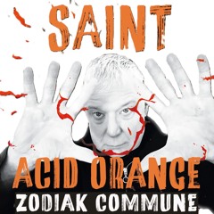SAINT at Acid Orange 2025 by Zodiak Commune
