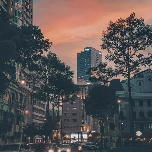 vạn vật hấp dẫn