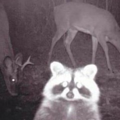 4 Räuber Überfall (w0nk444XheroeenXhorrorkidxmoere) **rare**