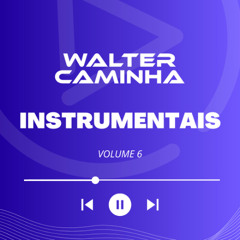 WALTER CAMINHA - INSTRUMENTAIS VOL. 6 (PREVIEW) Pix/Paypal
