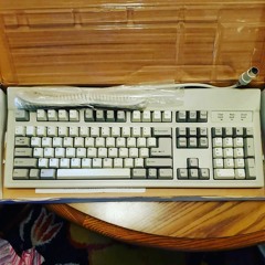 Focus FK-6000 (Clicky White Alps Clones - Hua-Jie?)