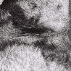 290424 - See You