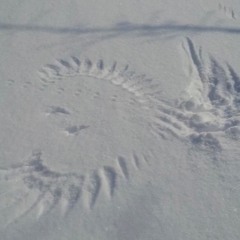 4_Sofftronic_Kindred_Spirit/You_Are_Special.wav