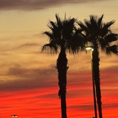 Dentro de ti hay algo especial y único., tu porción de Cristo!🌺 Butterflies, God’s Economy and you!🌹