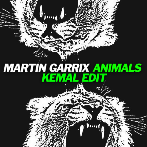 Martin Garrix - Animals (KEMAL Edit)