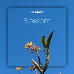 Blossom