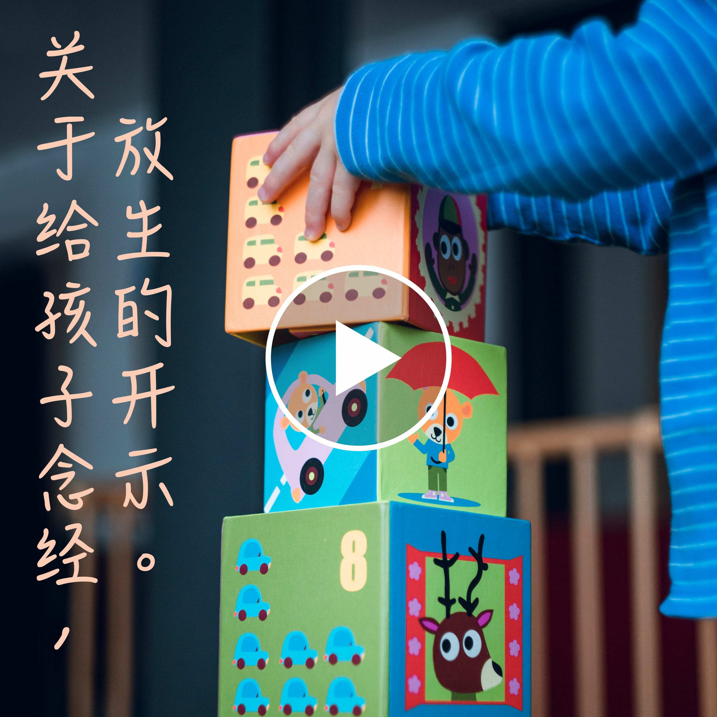 关于给孩子念经，放生的开示 episode artwork