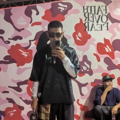 Read Bull (Freestyle)