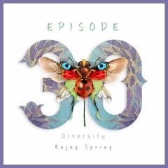 Diversity - Episode 30