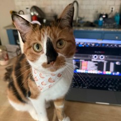 Sundown Social- Party Jumpin Preview- 11/23/2025