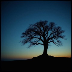 Roots