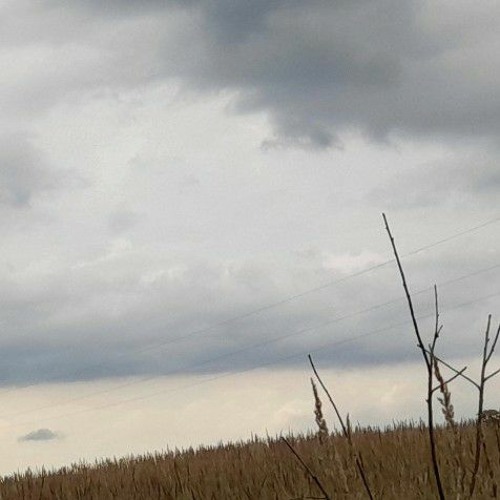 Stream :) by •♡• | Listen online for free on SoundCloud
