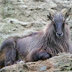 HK_Funky-Dub-Trap_tracks_15