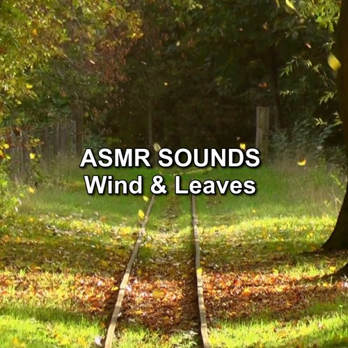 ASMR Wind Sounds on the Leaves, Deep Sleep with Autumn Sounds Ambience and Satisfying Wind in Nature