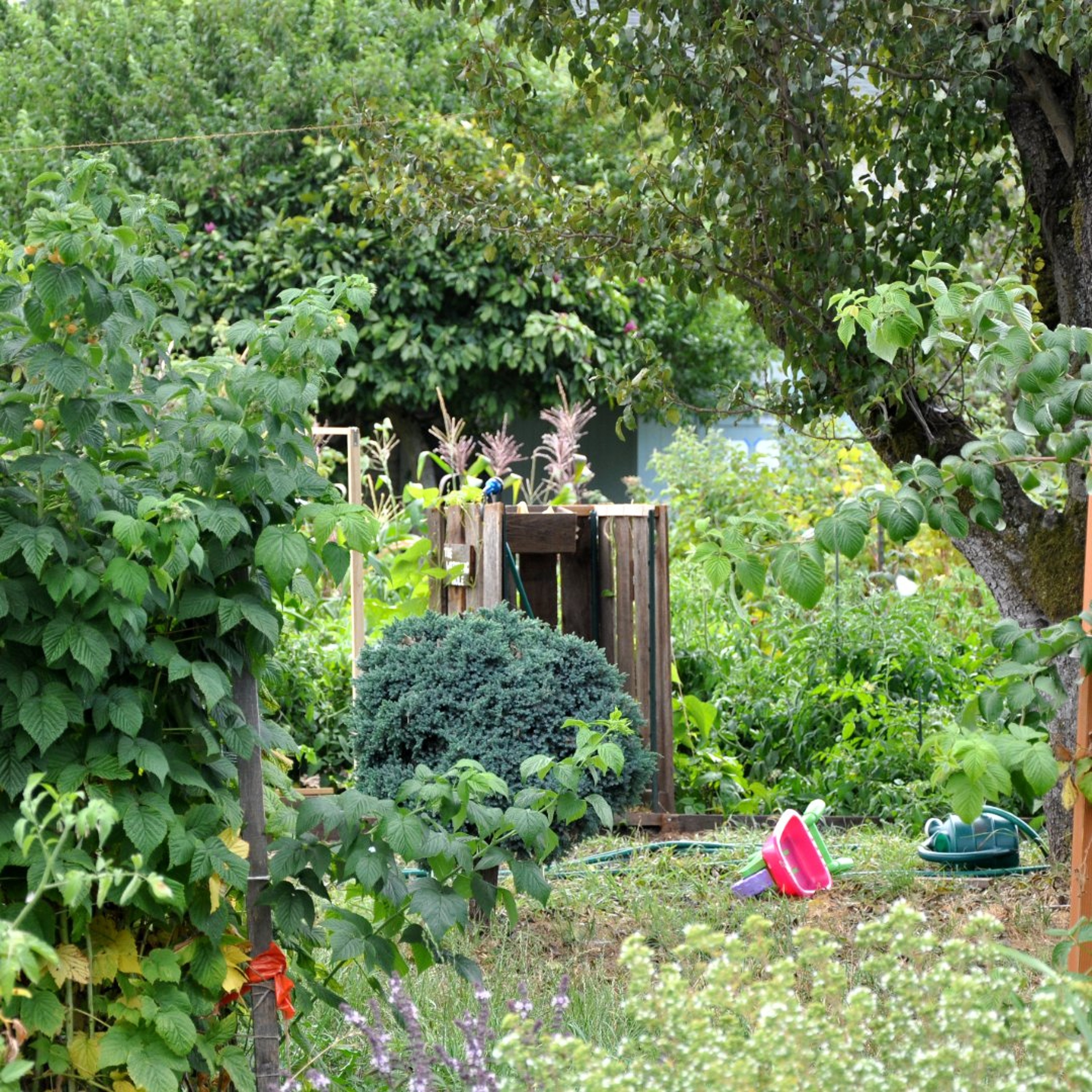 How a Thriving Garden Can Counteract a World on Fire episode artwork