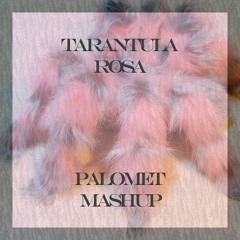 Tarantula Rosa (Palomet Mashup) (Pitch Down -4)