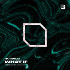 What If (Extended Mix)