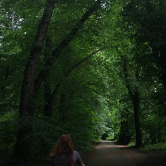 Stolenbranches Draft