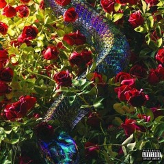 Leonardo Da Vinci [prod. HOOP!]