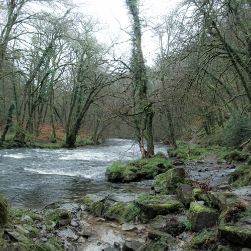 🧘‍♀️LoFi Ambient Chill Study Relax Lounge Electro