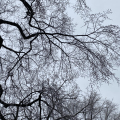 fka twigs & shygirl : papi bones {demetri mix}