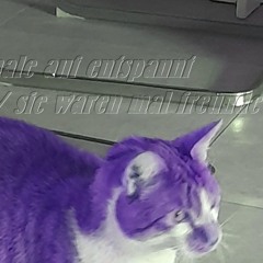 sie waren mal freunde (demo)